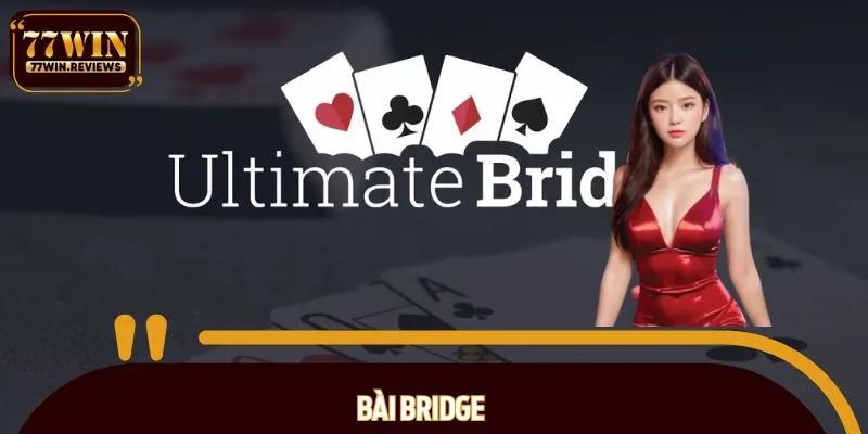 Bài Bridge