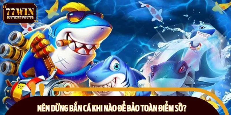 Xác định đúng thời điểm tốt nhất nên ngừng bắn