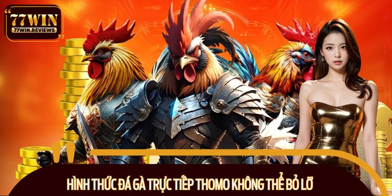 Hình thức đá gà trực tiếp Thomo không thể bỏ lỡ